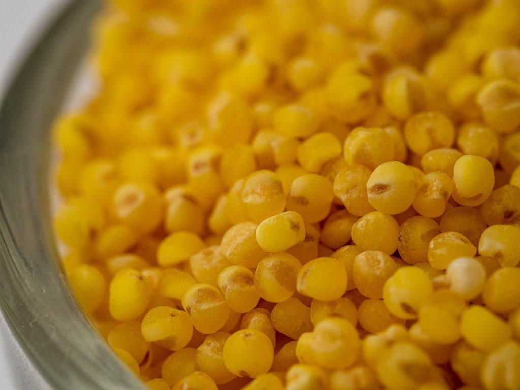 kasza jaglana dla niemowlaka